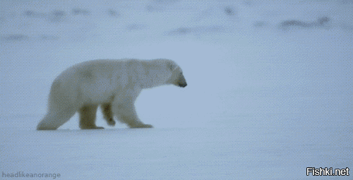 Это верно! :)