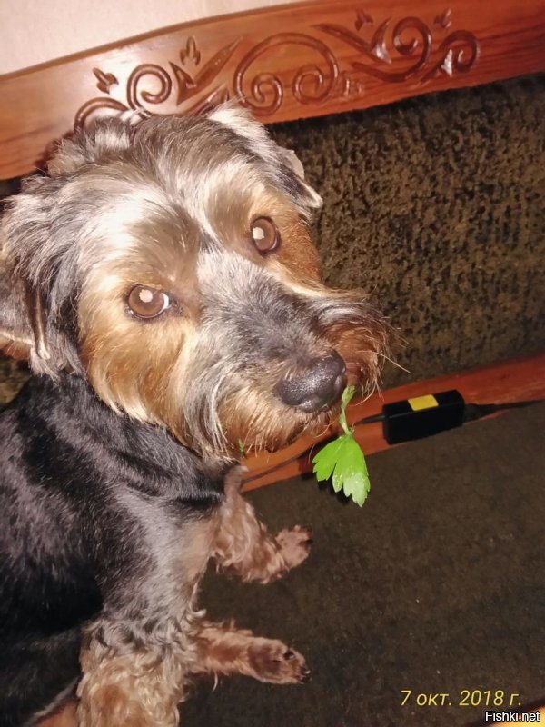 Кузя жеж мой!!