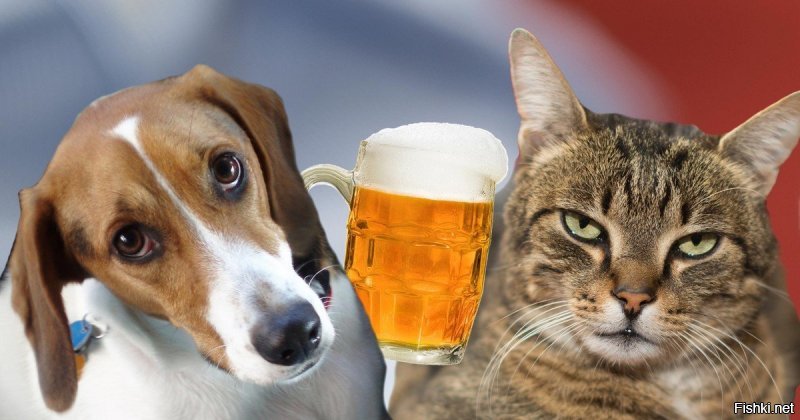 Всем добра и с пятницей