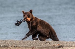 Почему фотоохота — самое лучшее занятие в мире?