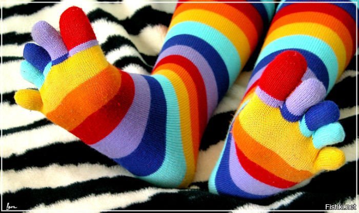 носки, которые сломали квантовую физику