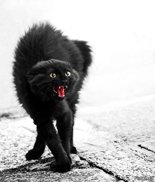 Осторожнее ночью