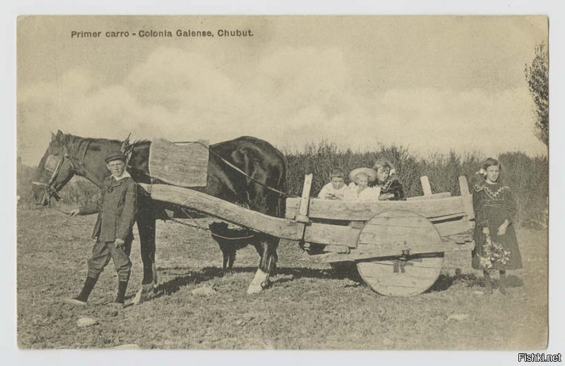 Сплошные колеса-откуда???
Открытка из Патагонии 1866 г.
