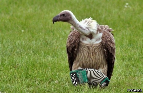 давно рассекречено, что там под грифом