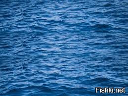 Черное море в районе Туапсе..