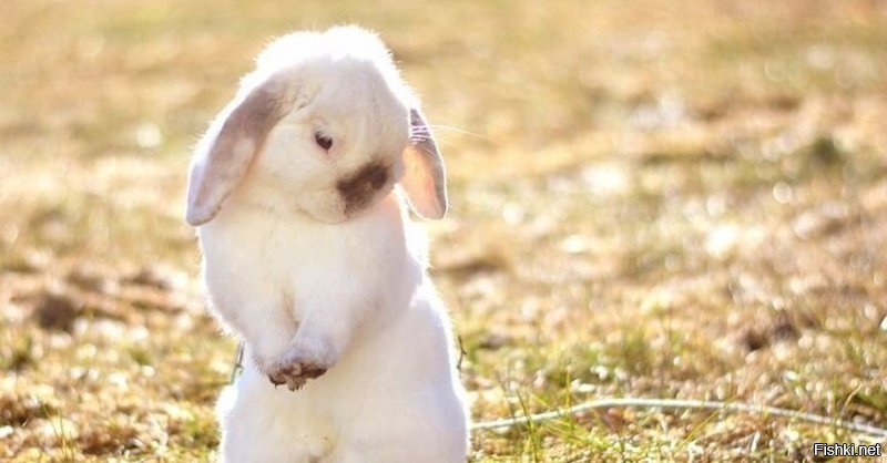 Ой, ну ладно вам, тётенька...