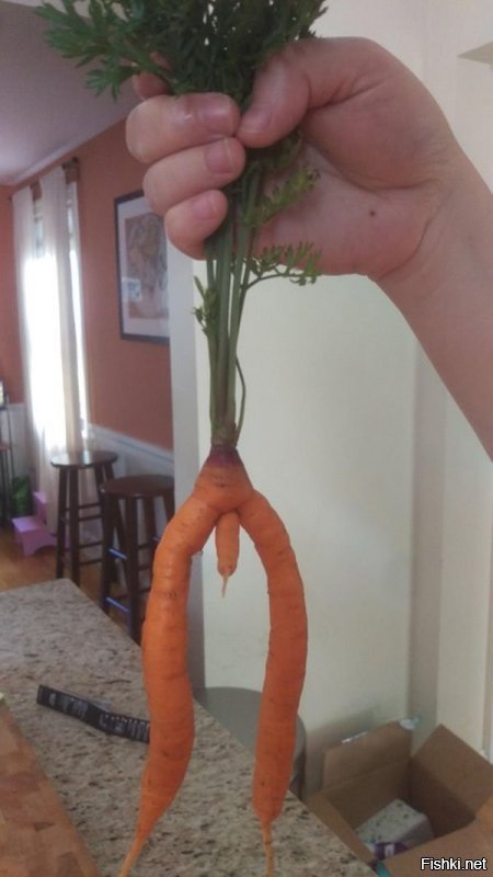 Кто-нибудь пробовал морковку с косточкой