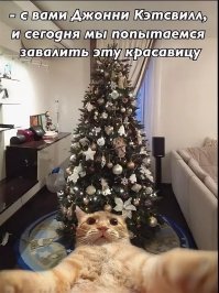 Прикольные и смешные картинки