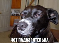 Прикольные и смешные картинки
