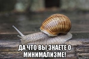 Девушка выложила фото холостяцкой берлоги, которое за сутки стало вирусным