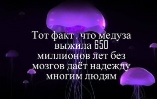 Прикольные и смешные картинки