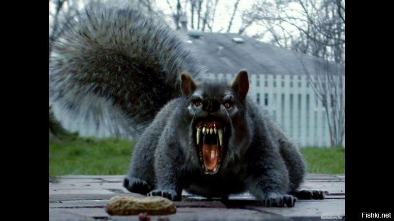 Ко мне такая приходит...