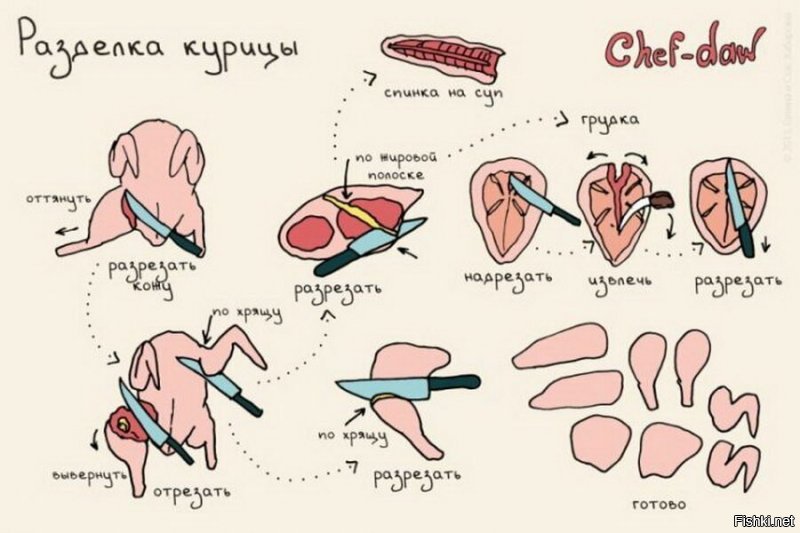 Только Модест знает как правильно разделывать курицу!