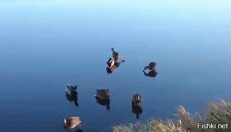 Галина Хвостенко (Новокузнецк)