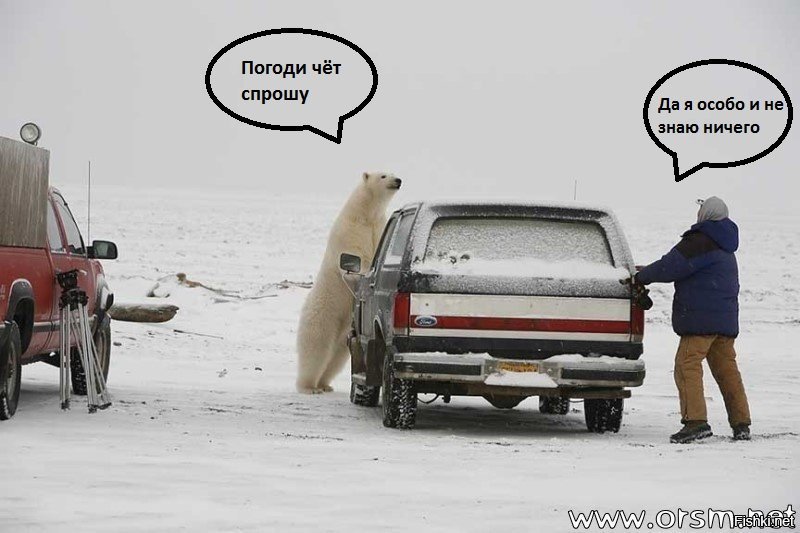 Солянка от 15.12.2018