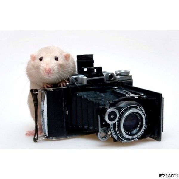 Солянка от 15.12.2018