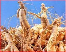 Женьшень!
Пля!
Кордебалет женьшеней - есть доказательство!!!!