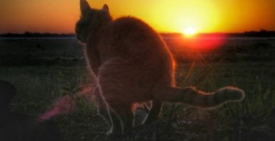 17 драматических фото людей, день которых не задался с самого утра