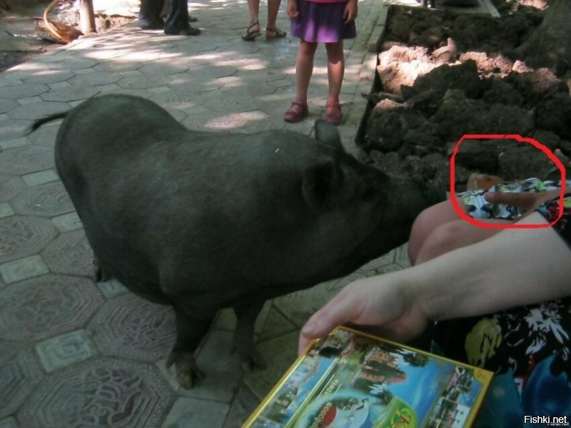 Из серии "показалось"