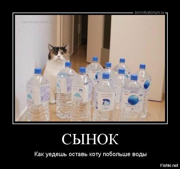 Солянка от 15.12.2018