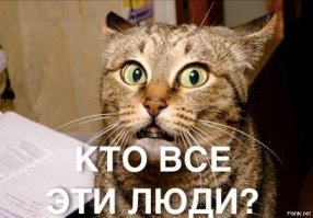 К большенству из представленных относится: