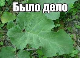 Анекдоты и картинки на деликатные темы