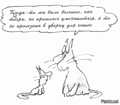 Картинки - кликать! 
Не все поместились полностью.
Терри, Художник и Переводчик сделали тот мой день, когда я купил эту книжку.

ЗЫ Шрёдингеровский кот присутствует.