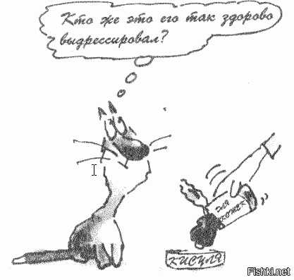 Картинки - кликать! 
Не все поместились полностью.
Терри, Художник и Переводчик сделали тот мой день, когда я купил эту книжку.

ЗЫ Шрёдингеровский кот присутствует.