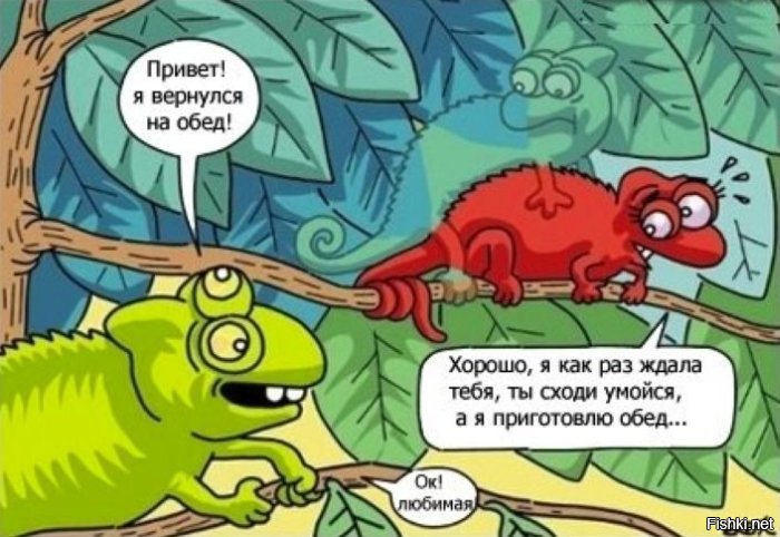 продам хамелеона синего нет красного нет жёлтого блин клёвый нет не продам