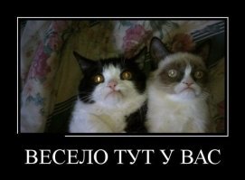 Британка рисует комиксы о своей безумной жизни с котами и молодым человеком