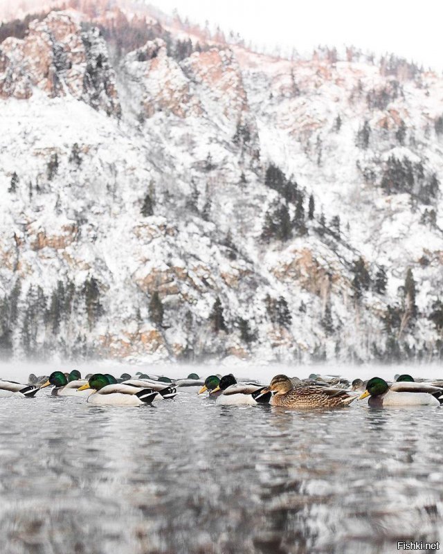 Дивногорск :)