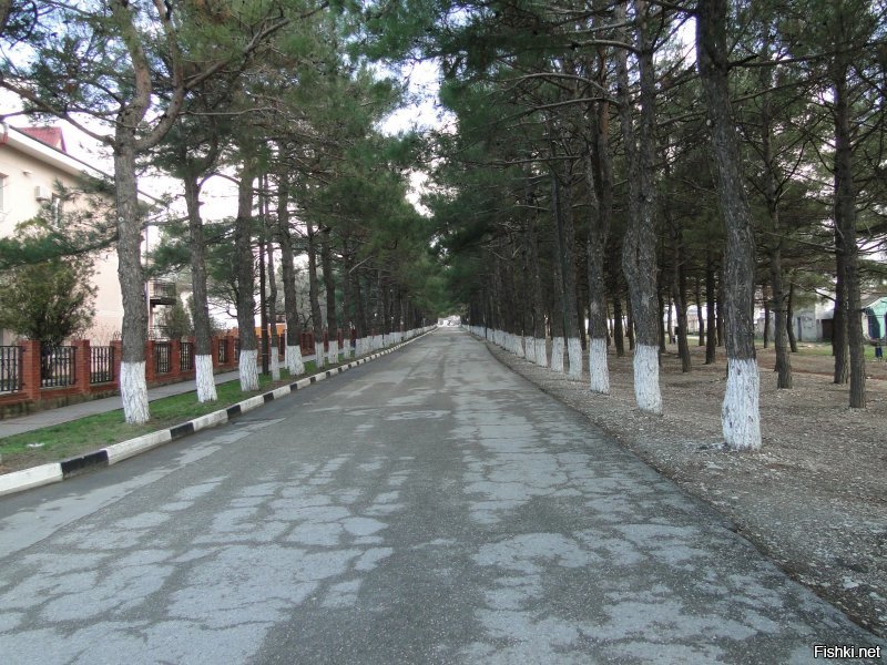 Я так  в феврале Кабардинку посетил) Непередаваемо! )))