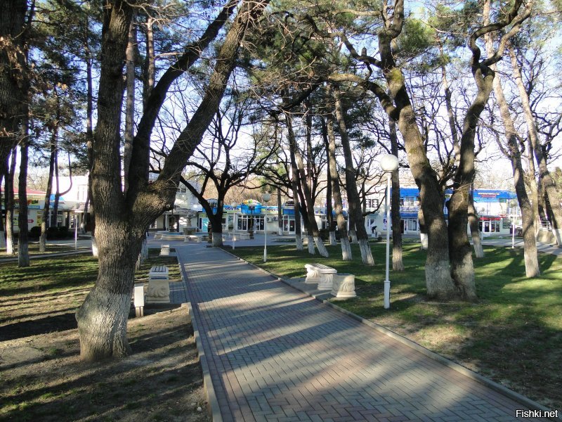 Я так  в феврале Кабардинку посетил) Непередаваемо! )))