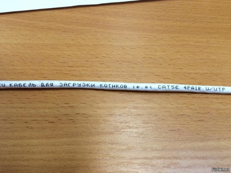 Вся моя ширина канала занята котиками))