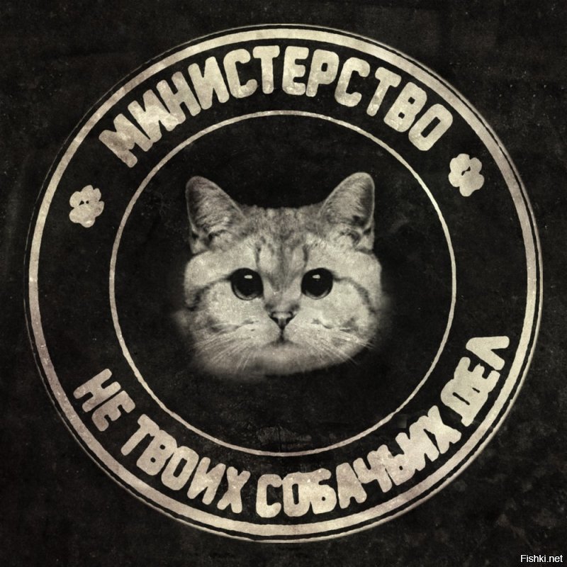 Солянка от 16.12.2018