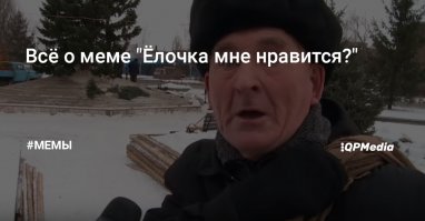 Торжество ЖКХ: новогоднюю ель для главной площади города срубили на соседней улице