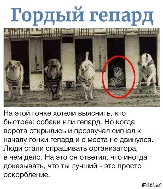 а им оно надо?