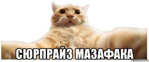 Сладкая месть: житель Калифорнии изготовил особую посылку для воров