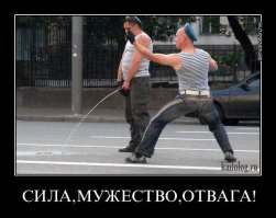 Киски, вам задача - выбрать круче мачо