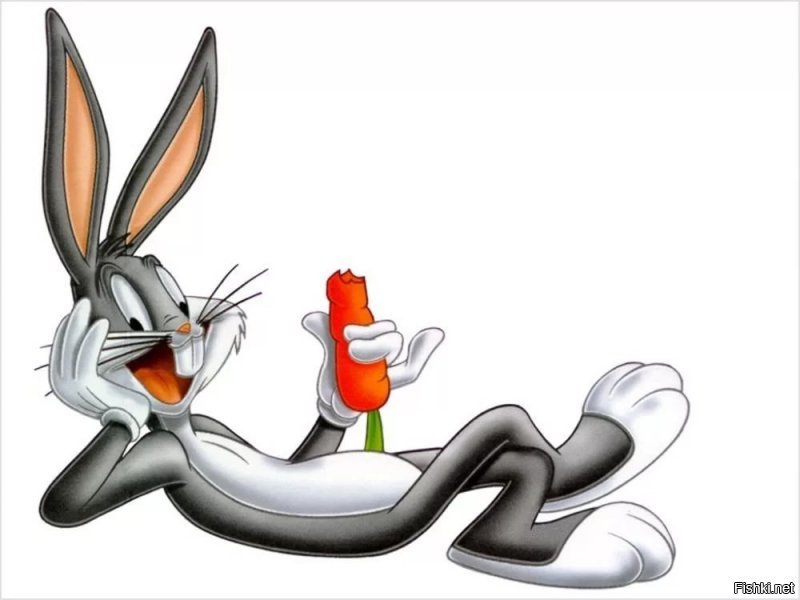 У каждой зайки есть свой любимый кролик, который очень любит морковку.