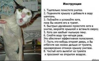 Прикольные и смешные картинки