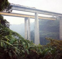 Дебилы малолетние, посмотрите на их руки, они графити решили нарисовать.