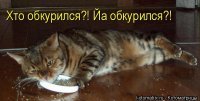 Прикольные и смешные картинки