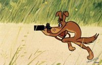 Фотоподборка за 17.12.2018