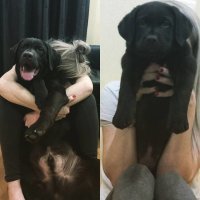 Несколько фоток я включил ради пестрости.

.