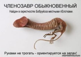 Свежая подборка демотиваторов, которые поднимут вам настроение