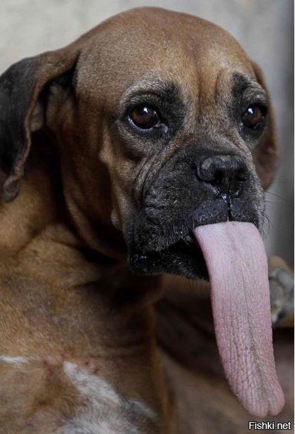 С языком надо аккуратнее!