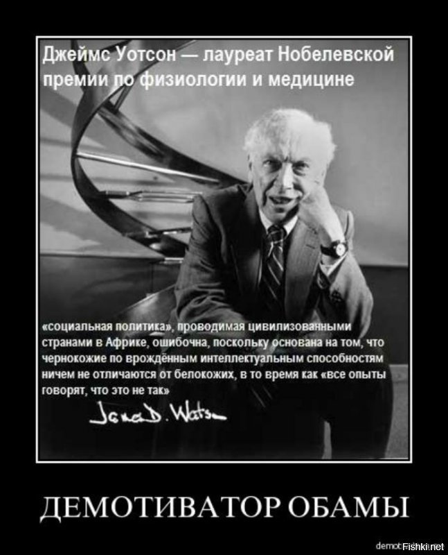 Высокая смертность в Африке (и прочих странах третьего мира) с лихвой окупается высокой рождаемостью, как в везде в природе. Если белые с низкой рождаемостью начинают приезжать в Африку и давать неграм воду, таблетки, орудия труда, технологии, то негры начинают меньше умирать и ещё сильнее размножаться, пожирая все доступные ресурсы, которых в Африке не так уж и много, от чего неграм становится тесно и они едут в белые страны и начинают плодиться там, затемняя белых, требуя себе  равных прав и возможностей. Беда только в том, что изначальные блага (таблетки, орудия труда, технологии) изобретены белыми с более приспособленным мозгом к решению таких задач. Если белые вымрут или будут ассимилированы развитие человечество очень сильно замедлится, может остановится и вполне возможно покатиться назад к каменному веку, потому что преобладать в популяции будут более глупые особи, но на равных правах в обществе. 
Я не против хачей, негров, арабов.. я за невмешательство. Мы мешаем естественному отбору, вычленить из расы достойных на продолжения рода, которые будут задействовать своё эволюционное преимущество в виде мозга чтоб выжить, как  это было у нас тысячи лет, мы тупо даём им всем возможность размножаться в ущерб собственной популяции. Невесёлое будущее ждёт нас с таким подходом. Мы просто растим планету обезьян.