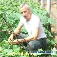 доктор одобряет