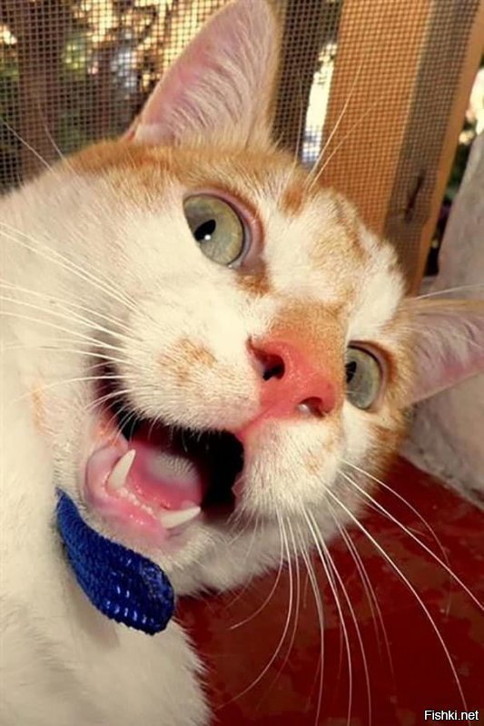 С понедельником